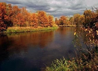 Окский заповедник