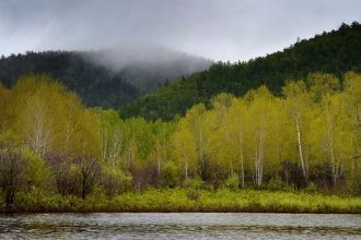 При зарастании озер появляются болота с 