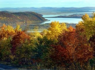 Важной особенностью животного состава ба