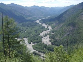 На северных склона преобладают сомкнутые