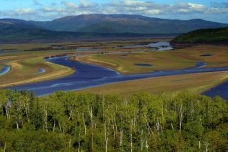 В долинах левых притоков Горина преоблад