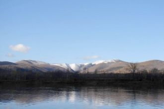 На островах растут ивы Шверина и росиста