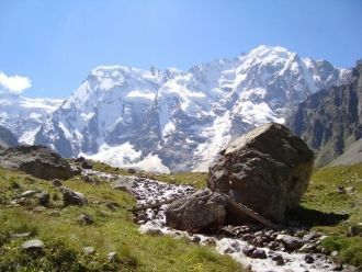 Растительность нивального пояса крошечны