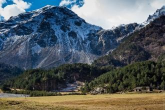 Чаще других хищников на тетеревов напада