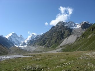 Березняки (березы Литвинова и Радде), за