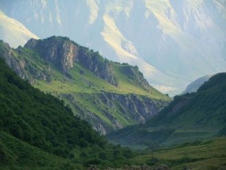 Обычен в заповеднике и бурый медведь. В 