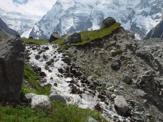 Фауна беспозвоночных животных заповедник