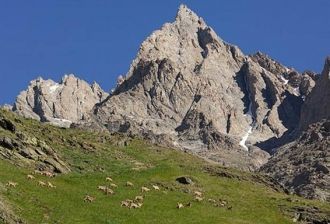 Из рыб водится только ручьевая форель. О