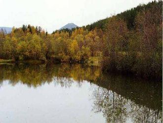 Ильменогорский комплекс расположен в южн