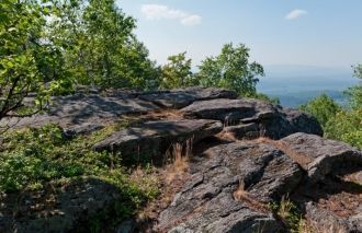 Наибольший интерес представляют здесь мн