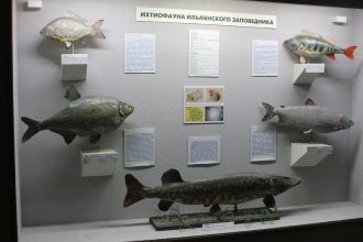 Фонд музея насчитывает около 30 тысяч ед