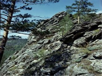 Двадцатый век принес с собой осознание т