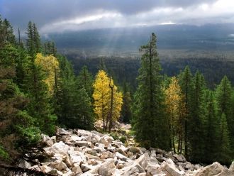 Минералогические коллекции, привезенные 