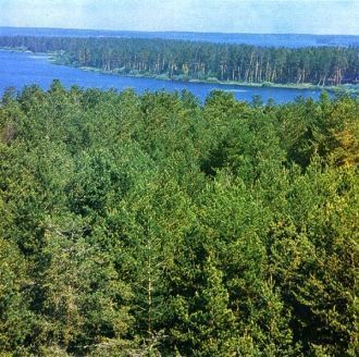 По концентрации редких видов птиц, запов