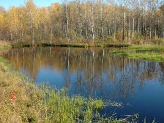 В связи с быстрым и повсеместным сокраще