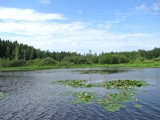 С начала 80-х годов, после полувекового 