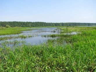 Он занимает самую оконечность полуостров
