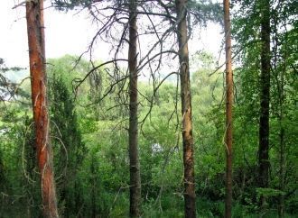 Поэтому очень важно сохранить в неприкос