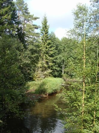 В заповеднике имеются четыре основных от