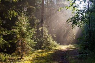 Заповедник стал очагом сохранения редких