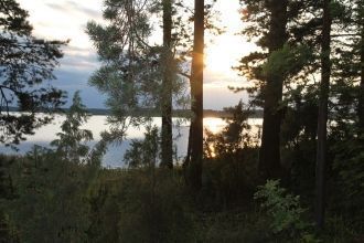 Дарвинский государственный природный зап