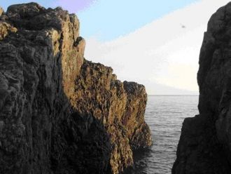 Своим изобилием водно-болотной раститель