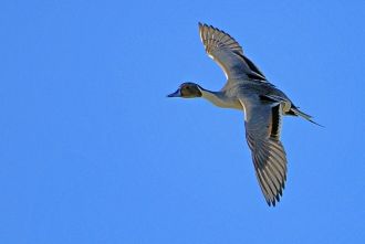 Озеро Долгий является замечательным мест