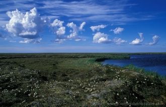Климат территории субарктический морской