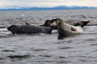 Морское побережье заповедника — место об