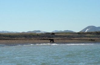 Прибрежные скалы усеяны многотысячными к