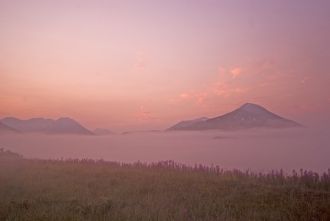 Весной птицы следуют вдоль восточного и 
