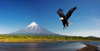 Особо ценные и редкие виды, такие как ор