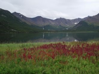 Самый ценный участок заповедника — Парап