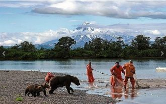Всего фауна Корякского заповедника насчи