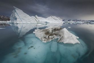На данной территории известны три вида к
