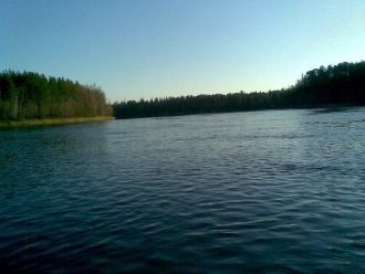 Фауну заповедника можно считать относите