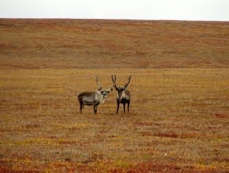 Природа заповедника в течение многих сто