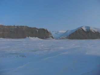 Из хищников на территории заповедника вс