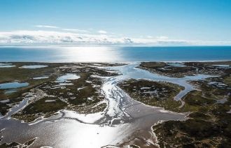 Из насекомоядных на территории заповедни
