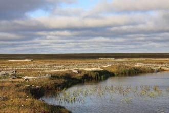 Большинство озер мелководны и зимой пром