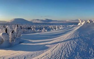 Территория Гыданского заповедника предст