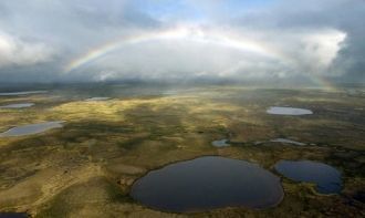 Заповедник учрежден в 1996 году для сохр