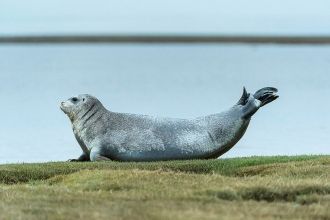 Территория относится к области избыточно