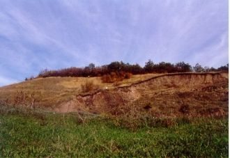 Флора заповедника в настоящий момент изу