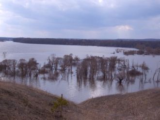 В заповеднике представлена типичная фаун