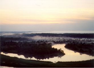 Видовая насыщенность в различных сообщес