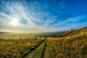 В границах заповедника в Ворону впадают: