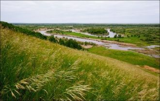 Максимальные отметки непосредственно тер