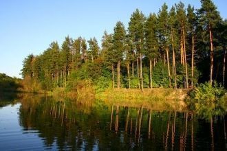 Заповедник расположен в среднем течении 