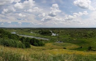 Фауна позвоночных изучена гораздо полнее